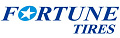 Шины Fortune